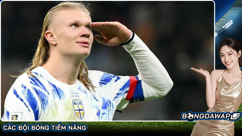 Các đội bóng tiềm năng