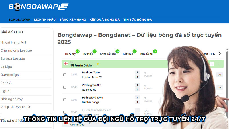 Thông tin liên hệ của đội ngũ hỗ trợ trực tuyến 24/7